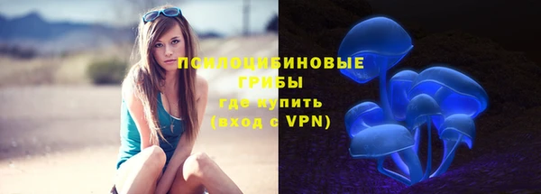 apvp Верея