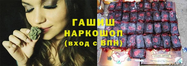 apvp Верея