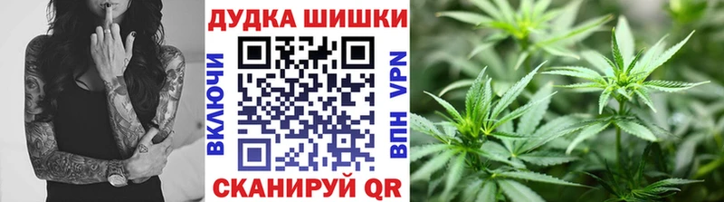 где можно купить   Туринск  Каннабис семена 